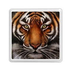 The Tiger Face Memory Card Reader (square) by Sudhe