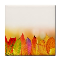 Autumn Leaves Colorful Fall Foliage Tile Coasters by Sudhe