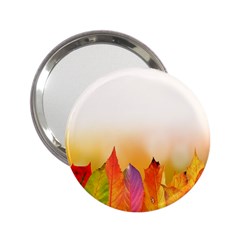 Autumn Leaves Colorful Fall Foliage 2 25  Handbag Mirrors by Sudhe