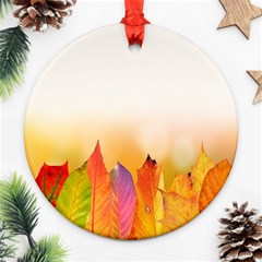 Autumn Leaves Colorful Fall Foliage Round Ornament (two Sides) by Sudhe