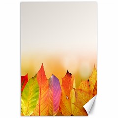 Autumn Leaves Colorful Fall Foliage Canvas 24  X 36  by Sudhe