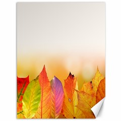 Autumn Leaves Colorful Fall Foliage Canvas 36  X 48  by Sudhe