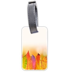 Autumn Leaves Colorful Fall Foliage Luggage Tags (two Sides) by Sudhe