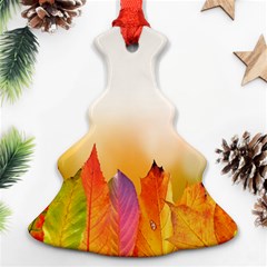 Autumn Leaves Colorful Fall Foliage Ornament (christmas Tree)  by Sudhe