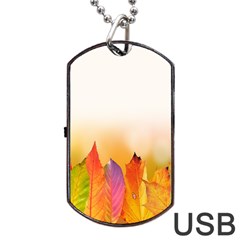 Autumn Leaves Colorful Fall Foliage Dog Tag Usb Flash (one Side) by Sudhe