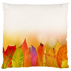 Autumn Leaves Colorful Fall Foliage Large Cushion Case (one Side) by Sudhe