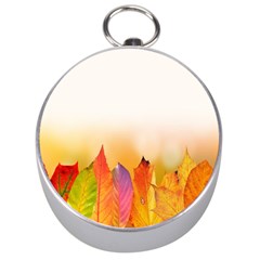 Autumn Leaves Colorful Fall Foliage Silver Compasses by Sudhe