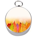 Autumn Leaves Colorful Fall Foliage Silver Compasses Front