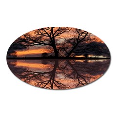 Aurora Sunset Sun Landscape Oval Magnet by Sudhe