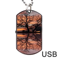 Aurora Sunset Sun Landscape Dog Tag Usb Flash (two Sides) by Sudhe