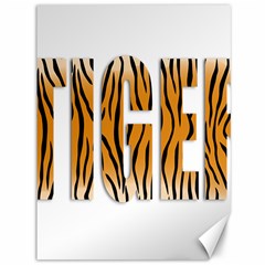 Tiger Bstract Animal Art Pattern Skin Canvas 36  X 48  by Sudhe