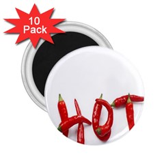 Hot 2 25  Magnets (10 Pack)  by Sudhe