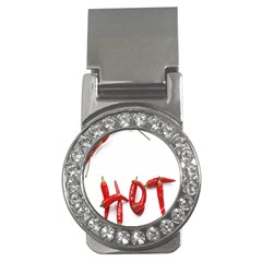 Hot Money Clips (cz)  by Sudhe