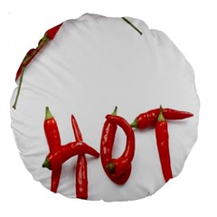 Hot Large 18  Premium Round Cushions by Sudhe