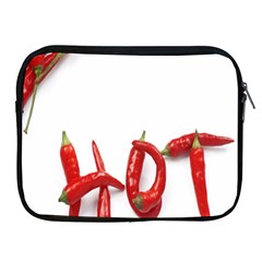 Hot Apple Ipad 2/3/4 Zipper Cases by Sudhe