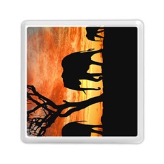 Family Of African Elephants Memory Card Reader (square) by Sudhe