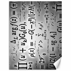 Science Formulas Canvas 12  X 16  by Sudhe