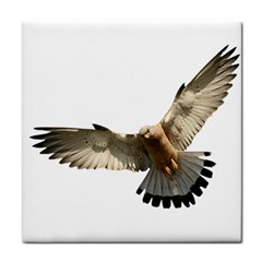 Eagle Tile Coasters