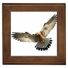 Eagle Framed Tiles by Sudhe