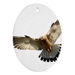 Eagle Ornament (oval) by Sudhe