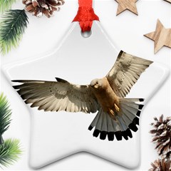 Eagle Ornament (star)