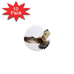 Eagle 1  Mini Magnet (10 Pack) 