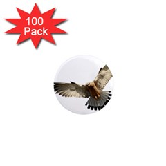 Eagle 1  Mini Magnets (100 Pack)  by Sudhe