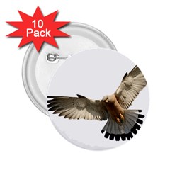 Eagle 2 25  Buttons (10 Pack) 