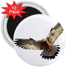 Eagle 3  Magnets (10 Pack)  by Sudhe