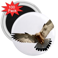 Eagle 3  Magnets (100 Pack)