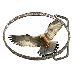 Eagle Belt Buckles