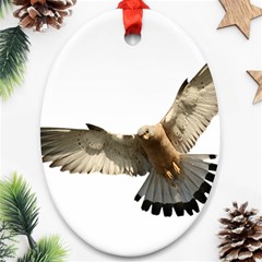 Eagle Oval Ornament (two Sides)