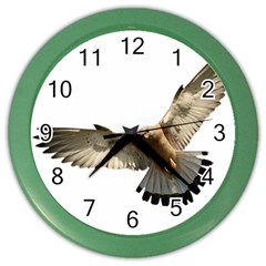 Eagle Color Wall Clock