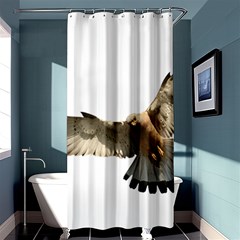 Eagle Shower Curtain 36  X 72  (stall)  by Sudhe