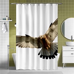 Eagle Shower Curtain 48  X 72  (small) 