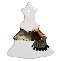 Eagle Ornament (christmas Tree)  by Sudhe