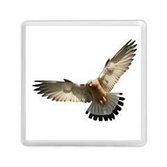 Eagle Memory Card Reader (square) by Sudhe