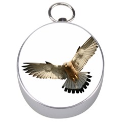 Eagle Silver Compasses by Sudhe