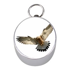 Eagle Mini Silver Compasses by Sudhe