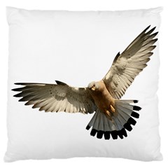 Eagle Standard Flano Cushion Case (one Side) by Sudhe