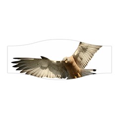 Eagle Stretchable Headband