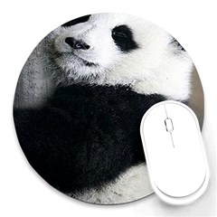 Panda Bear Sleeping Round Mousepads by Sudhe