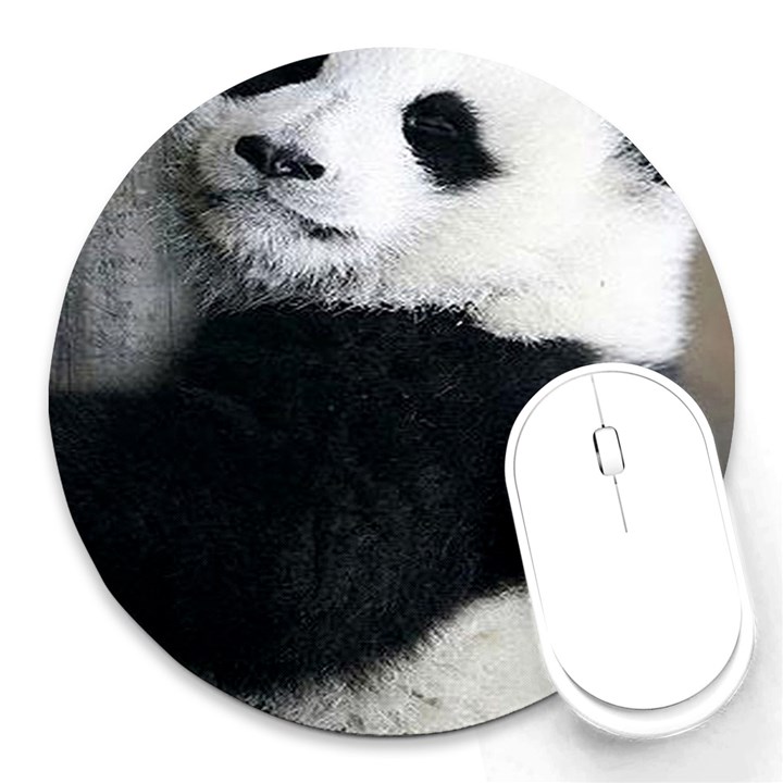 Panda Bear Sleeping Round Mousepads