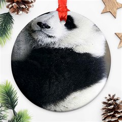 Panda Bear Sleeping Ornament (round) by Sudhe