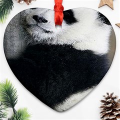 Panda Bear Sleeping Ornament (heart) by Sudhe