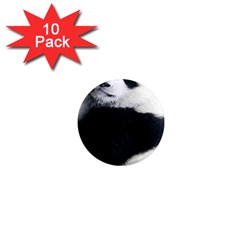 Panda Bear Sleeping 1  Mini Magnet (10 Pack)  by Sudhe