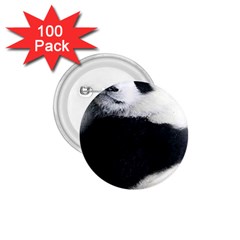 Panda Bear Sleeping 1 75  Buttons (100 Pack)  by Sudhe