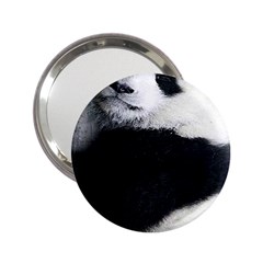 Panda Bear Sleeping 2 25  Handbag Mirrors by Sudhe