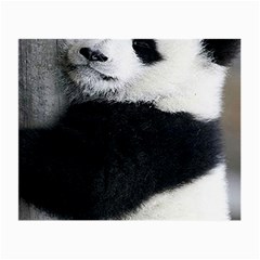 Panda Bear Sleeping Small Glasses Cloth by Sudhe