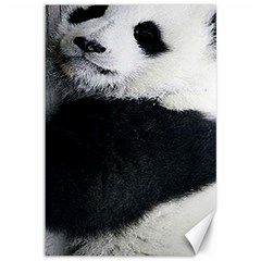 Panda Bear Sleeping Canvas 12  X 18  by Sudhe